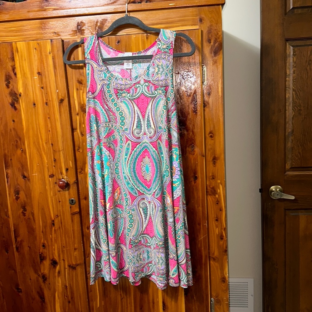 Swing Dress Size Large Paisley Pink